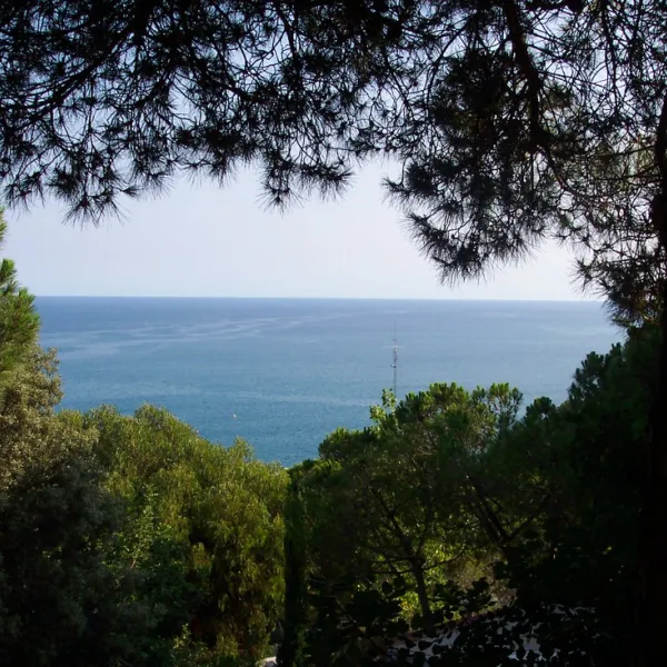 botanic-bona-vista-calella-dtqa9