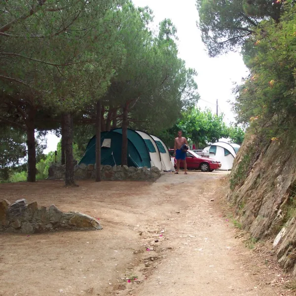 botanic-bona-vista-calella-jo0i7