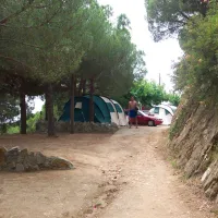 botanic-bona-vista-calella-jo0i7
