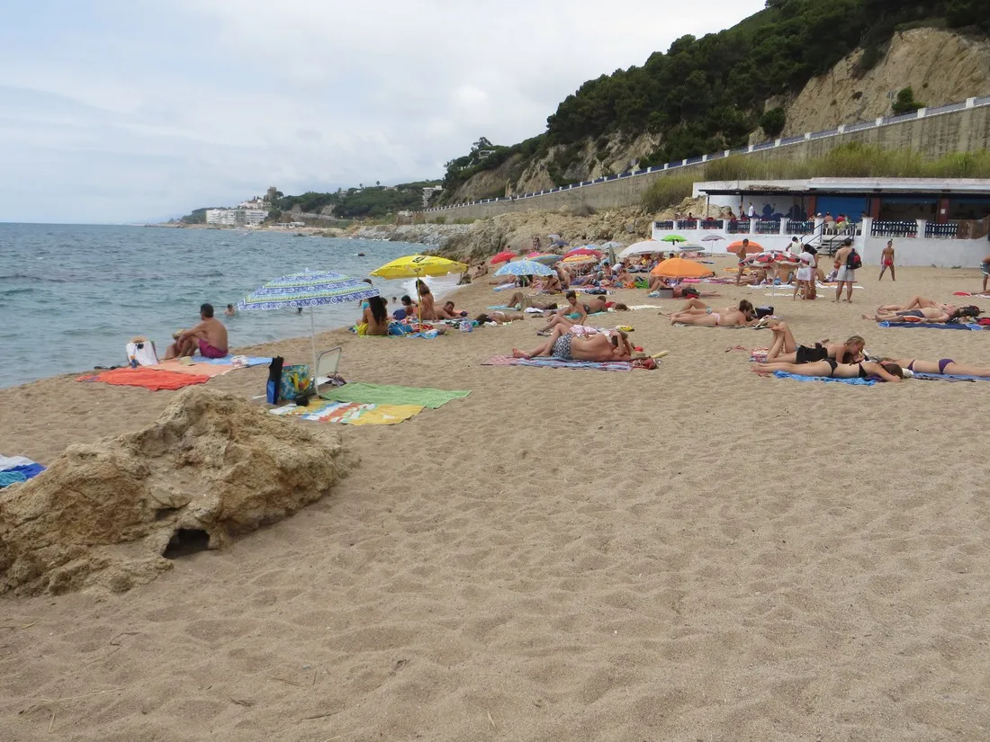 botanic-bona-vista-calella-t0azw