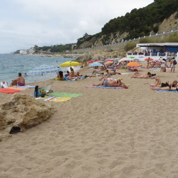 botanic-bona-vista-calella-t0azw