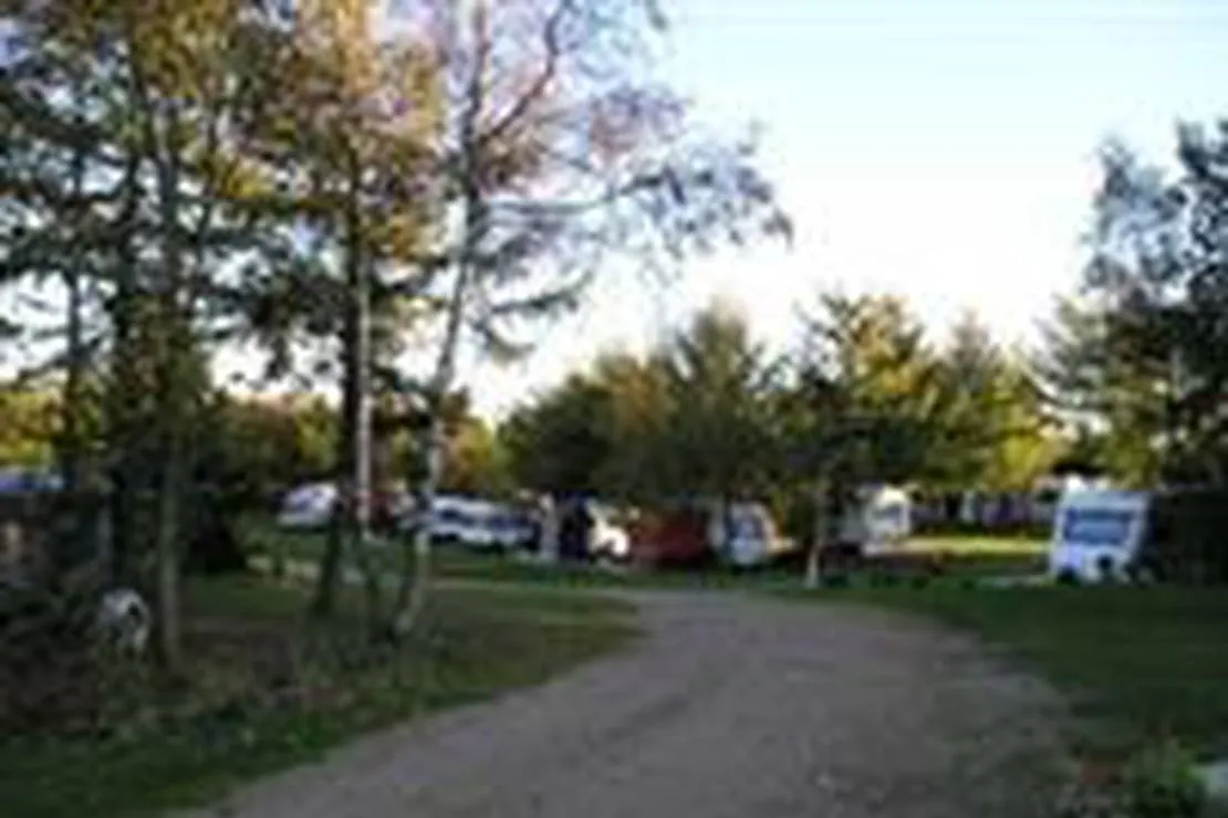 skive-flynderso-camping-skive-0b8nu