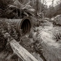 newnes-campground-newnes-prwpx
