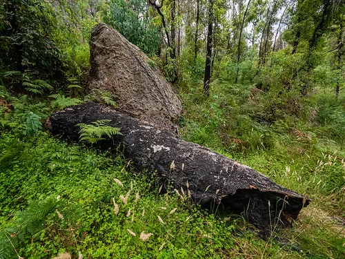 newnes-campground-newnes-qgces