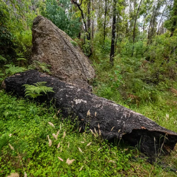 Newnes Campground