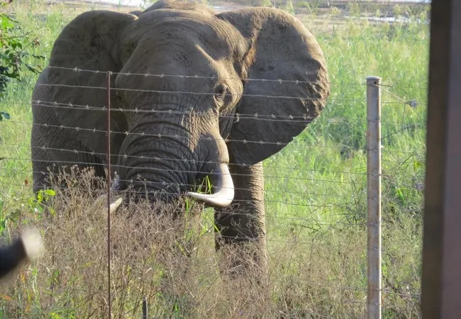 croc-bridge-safari-lodge-entrance-of-crocodile-bridge-gate-gomondwane-road-l9q4l