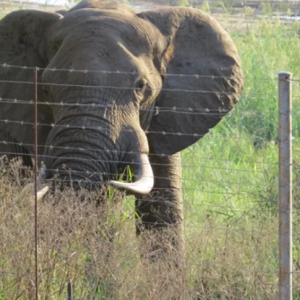 croc-bridge-safari-lodge-entrance-of-crocodile-bridge-gate-gomondwane-road-l9q4l