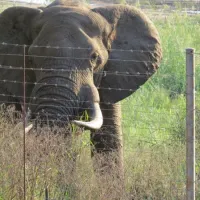 croc-bridge-safari-lodge-entrance-of-crocodile-bridge-gate-gomondwane-road-l9q4l