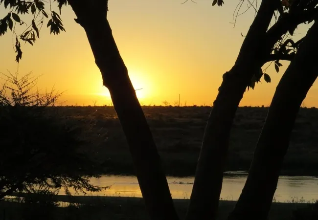 croc-bridge-safari-lodge-entrance-of-crocodile-bridge-gate-gomondwane-road-ugcnm