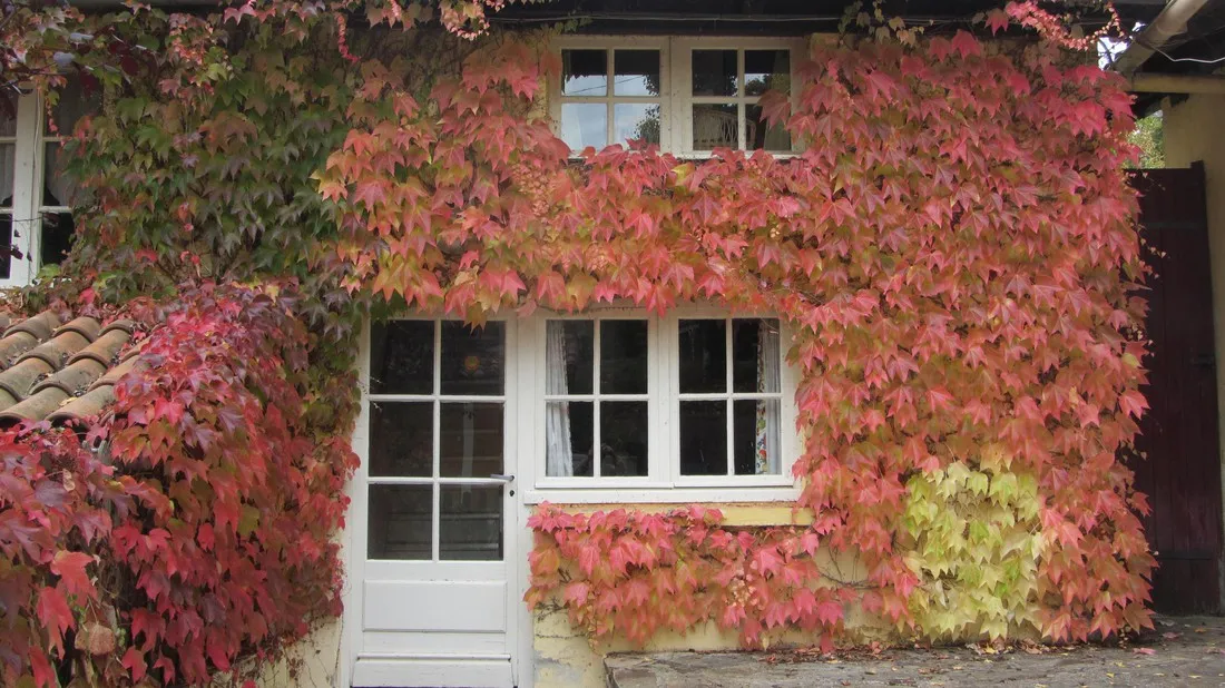 la-bucherie-st-saud-dordogne-mwvib