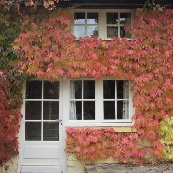 la-bucherie-st-saud-dordogne-mwvib