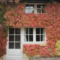la-bucherie-st-saud-dordogne-mwvib