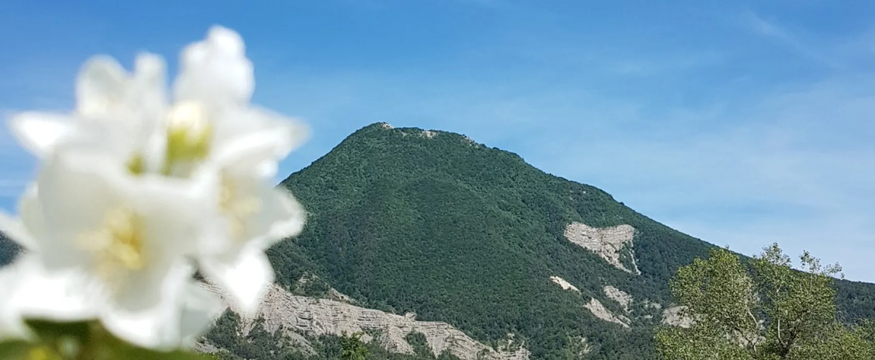 Les Rives du Lac