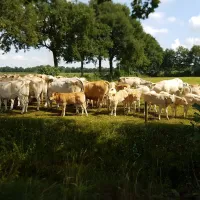 erve-wezenberg-denekamp-qgqm0