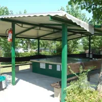 trevisago-moniga-del-garda-emxt6