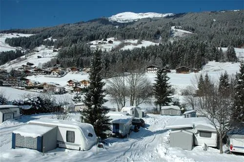 snp-wald-im-pinzgau-hafyk