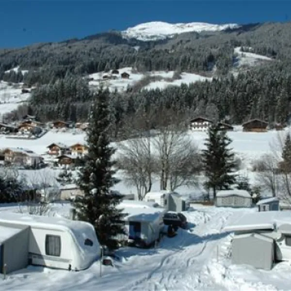 snp-wald-im-pinzgau-hafyk
