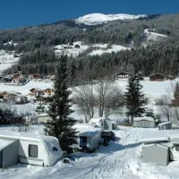 snp-wald-im-pinzgau-hafyk