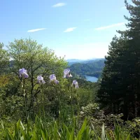Domaine Naturiste Le Dorier