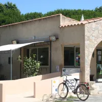 dolce-vita-calvi-dmf8e