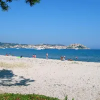 dolce-vita-calvi-sx8ox