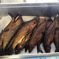 kukkolankoski-catering-tornio-0xffg