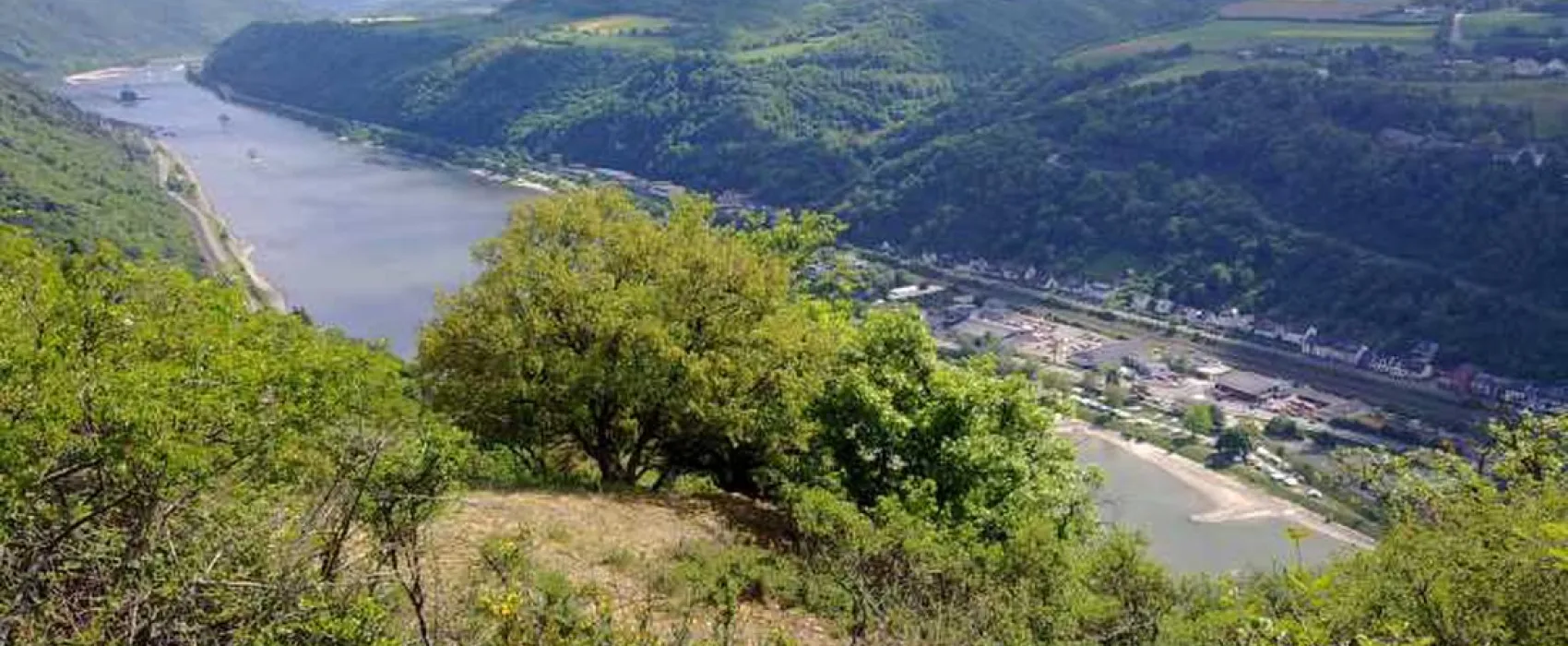Schönburgblick