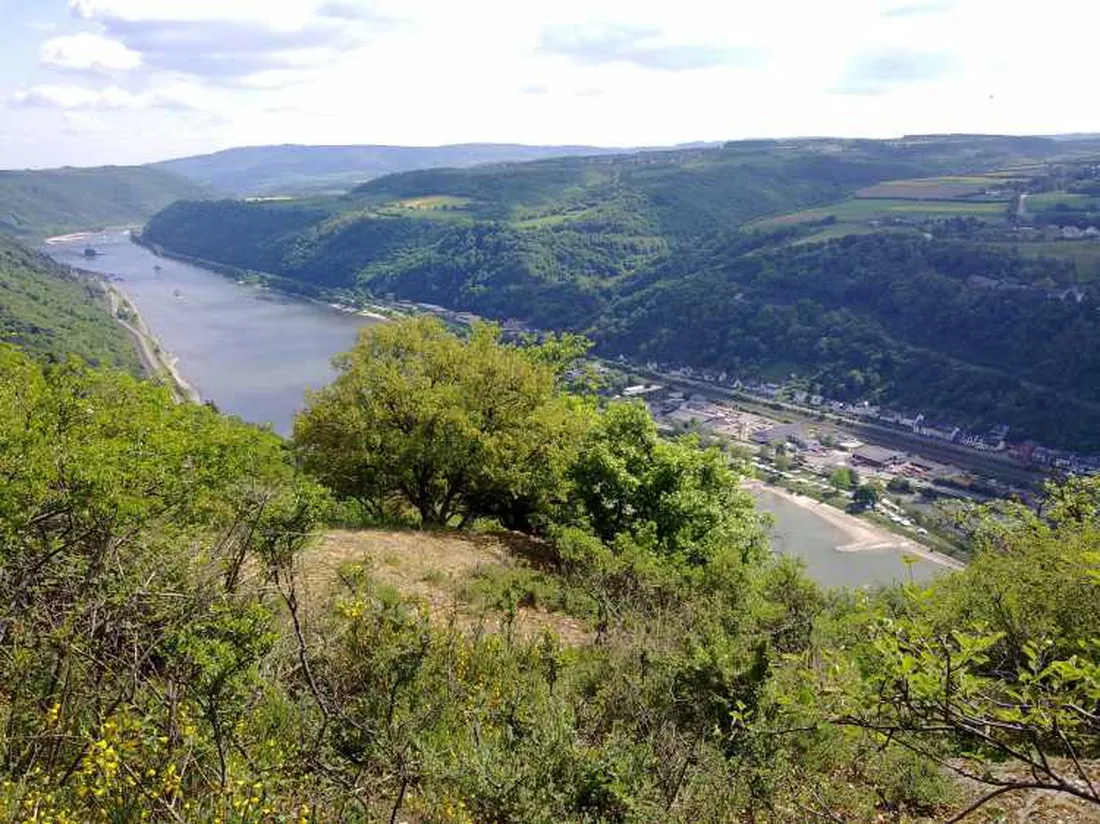 schonburgblick-oberwesel-vngp7