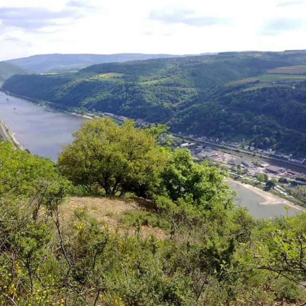 Schönburgblick