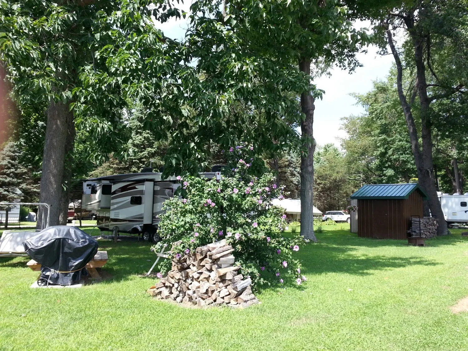 pine-lane-campground-east-springfield-tujnv