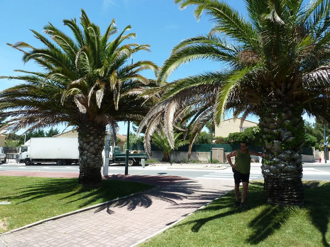 au-jardin-de-la-ferme-six-fours-les-plages-3xa7f
