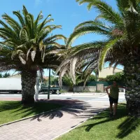 au-jardin-de-la-ferme-six-fours-les-plages-3xa7f