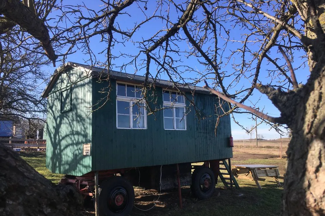 zeltwiese-lobejun-wettin-lobejun-uxcyg