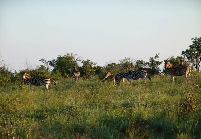 waterberg-wilderness-reserve-naboomspruit-limpopo-3ir2d