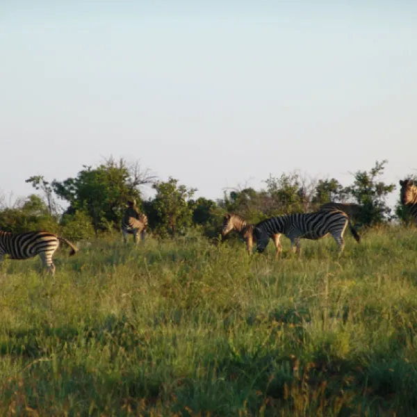 waterberg-wilderness-reserve-naboomspruit-limpopo-3ir2d