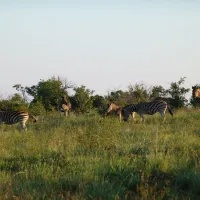 waterberg-wilderness-reserve-naboomspruit-limpopo-3ir2d