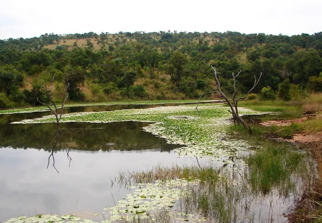 waterberg-wilderness-reserve-naboomspruit-limpopo-e33xm