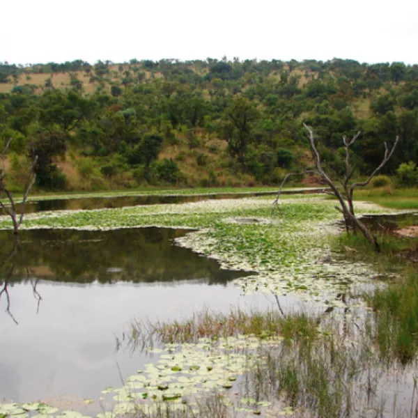 waterberg-wilderness-reserve-naboomspruit-limpopo-e33xm