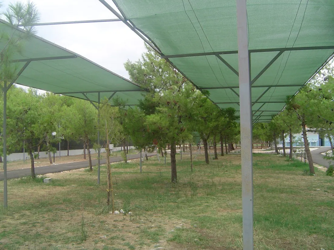 villaggio-arizona-vieste-ak8fu