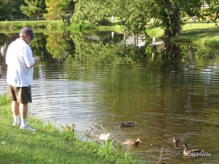 clearwater-rv-park-lgqfz
