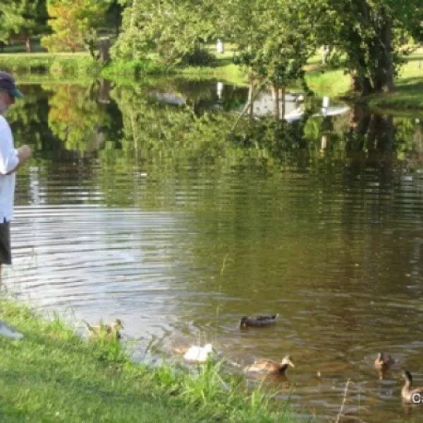clearwater-rv-park-lgqfz
