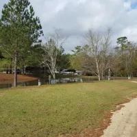 clearwater-rv-park-ll0hn