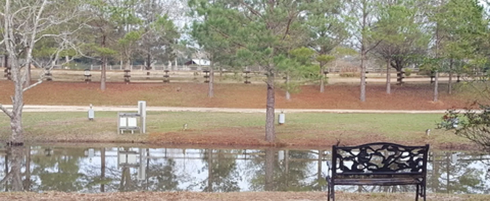 Clearwater RV Park