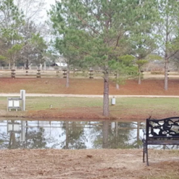 clearwater-rv-park-pn4wg