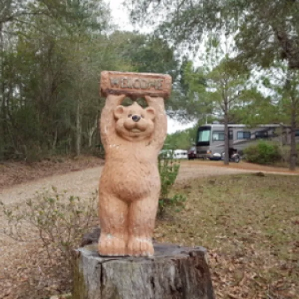 clearwater-rv-park-z5fht