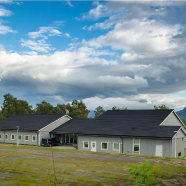 Sognhostel og camping