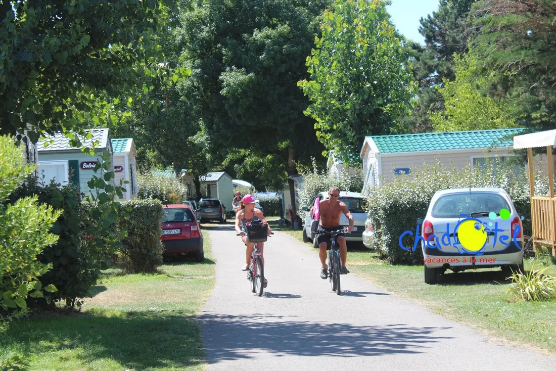 la-trevilliere-bretignolles-sur-mer-vendee-ln1mm