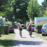 la-trevilliere-bretignolles-sur-mer-vendee-ln1mm