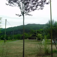 bouyssou-tursac-dordogne-uatva