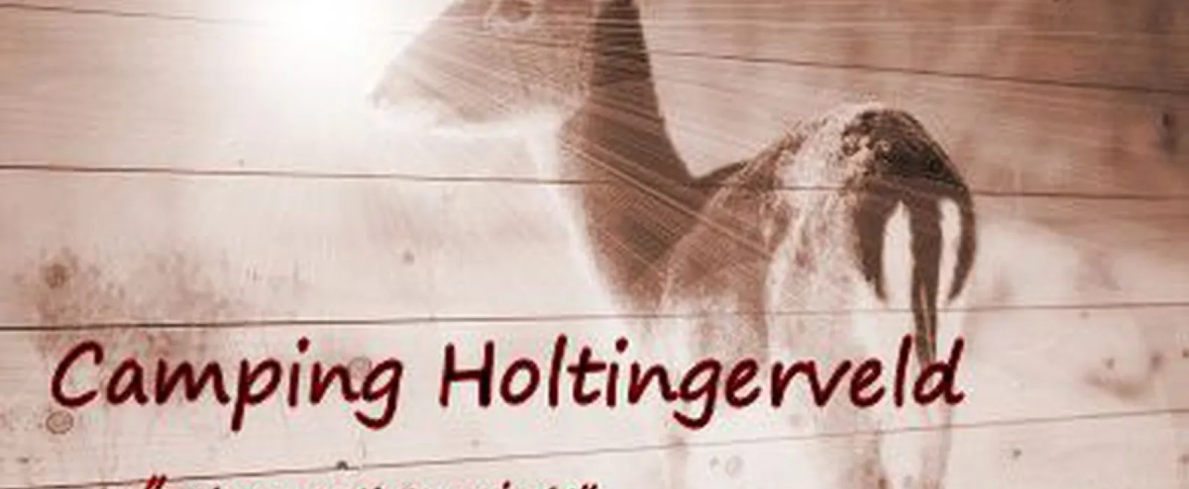 Holtingerveld